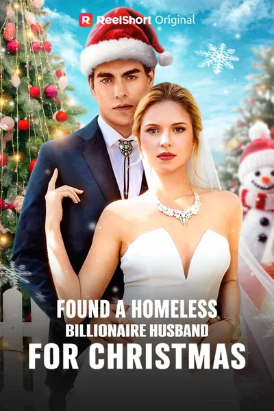 Found A Homeless Billionaire Husband for Christmas poster
