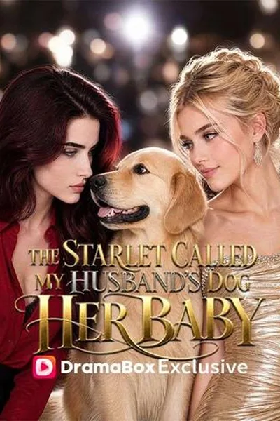 The Starlet Called My Husband's Dog Her Baby poster